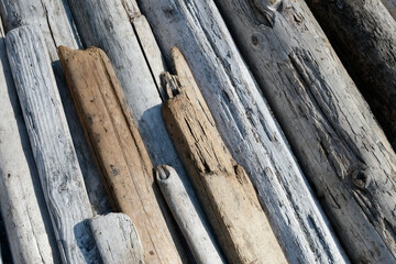 An abstract image of various pieces of drift wood lined up in a row. 