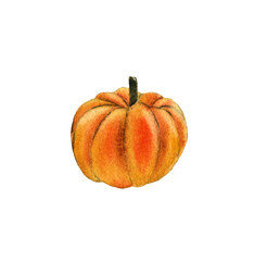 Orange round pumpkin highlighted on a white background. Watercolor sketch.