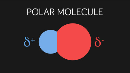 Vector illustration of polar molecule dipole.