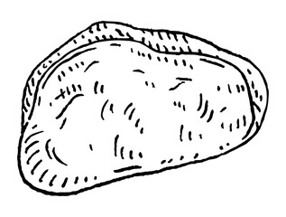 Kola nuts without shell. Vector engraving black vintage