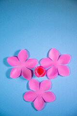 Pétalos de flor en fondo celeste, concepto de tarjetas florales, invitaciones diseño editable.