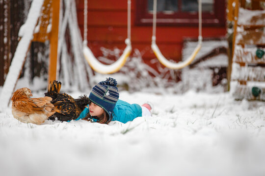 A little girl lays in snow playing with two small chickens
