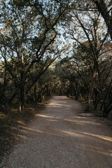 Fototapeta premium Trail to Pedernales Falls in Pedernales Falls State Park