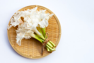 White dolichandrone serrulata flower on white background. Top view