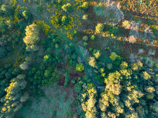 View at Dobrzynka River in Pabianice city from a drone