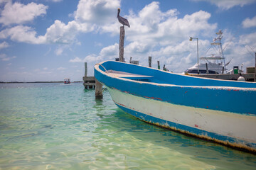 Cancun idyllic caribbean beach with boat and pelican, Riviera Maya, Mexico