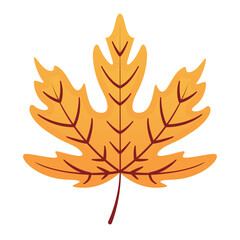 Naklejka na ściany i meble Isolated colored autumn leaf icon Vector