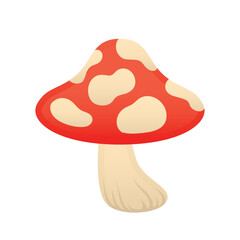 Isolated colored autumn tree icon Vector