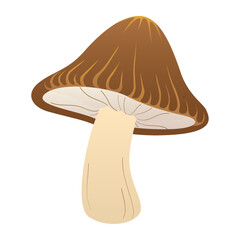 Isolated colored autumn tree icon Vector