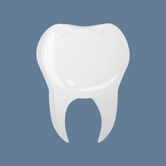 Tooth in realistic style. Teeth Dentist icon.