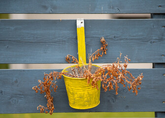 Verwelkte Pflanze im Blumentopf