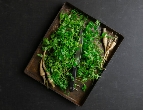 Parsley herb on a tray. Parsley leaf top view, flat lay. Fresh parsley. Food background. Parsley harvest on an old tray.