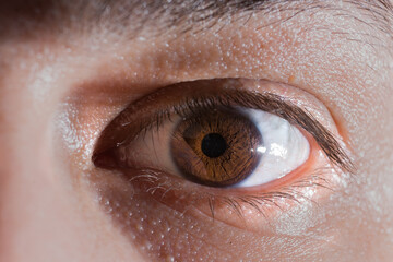 Fototapeta premium foto de ojos macro