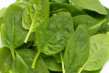 Spinach leaves on white background.