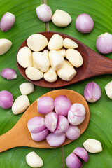 Fototapeta na wymiar Fresh garlic with shallot on green leaf