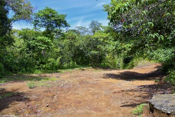 Fototapeta premium El Miro Ruins, hiking trail views, abandoned mansion, declared biological corridor, in the province of Jaco, Costa Rica 2022, Central America.