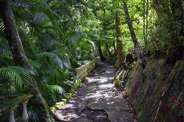 Fototapeta premium El Miro Ruins, hiking trail views, abandoned mansion, declared biological corridor, in the province of Jaco, Costa Rica 2022, Central America.