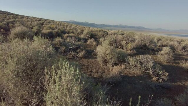 Hiking through desert near mono lake California 