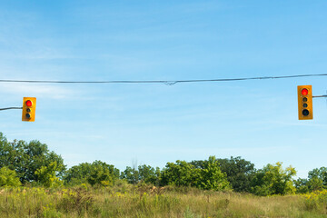 Two red traffic lights with trees in the background 