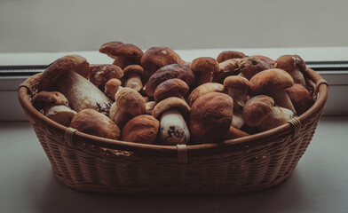 Mushrooms in a basket on a dark background. Boletus edulis, penny bun, ceps, porcini. Selective focus.