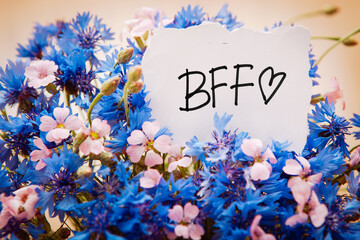 BFF - best friends forever card with lettering and blue cornflower flowers, friendship concept	
