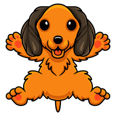 Cute dachund dog cartoon posing