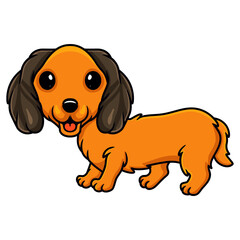 Cute dachund dog cartoon posing
