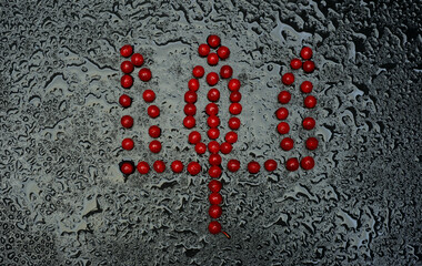 red viburnum berries laid out in the form of a Ukrainian trident on a black background