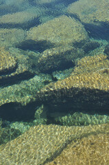 Rocks under clear water in a lagoon