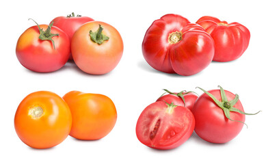 Set with different ripe tomatoes on white background