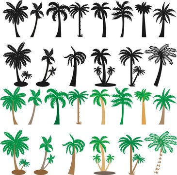 Palm trees Vector logo design template with palm tree  Palm tree tropical design element Vector logo design template with palm tree - abstract summer Tree set vector black palm icon 
