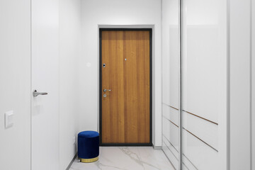 Entrance door inside an apartment in a modern interior