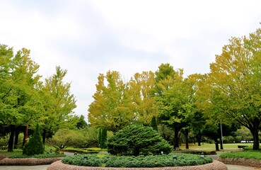 秋が近づく気配　木の葉が色づく穏やかな公園　ネーブルパーク