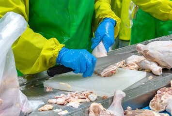 Worker use knife slash chicken parts on cutting board.