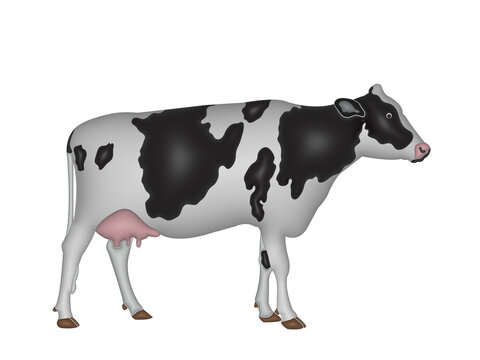 Cow in transparent background image