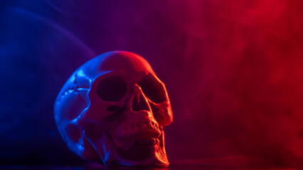 Human skull in pink and blue smoke on a black background. Halloween.