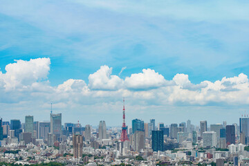 Fototapeta premium 東京都心