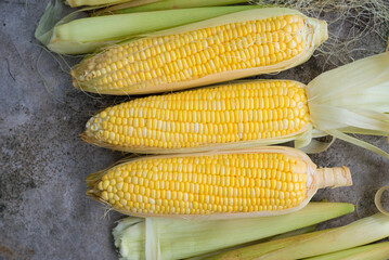 Yellow Sweet corn on wood  background , Yellow Corn, sweet corn, healthy organic food, bio nutrition