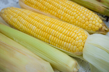 Fresh corn, sweet corn