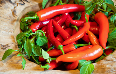 Freshly harvested chillies lie in a wooden bowl