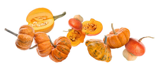 Many flying pumpkins isolated on white