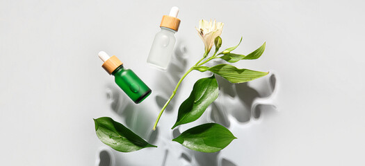 Bottles of cosmetic serum and leaves on light background, top view