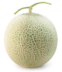 Green melons isolated on white background, Melon or cantaloupe isolated on white background With clipping path.