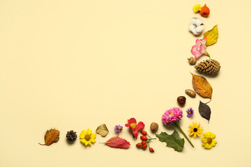 Beautiful composition with natural forest decor and flowers on color background