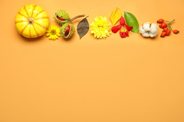 Composition with flowers, natural forest decor and pumpkin on color background