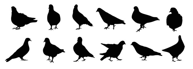 Set of silhouettes of doves birds on a separate white background. A symbol of peace
