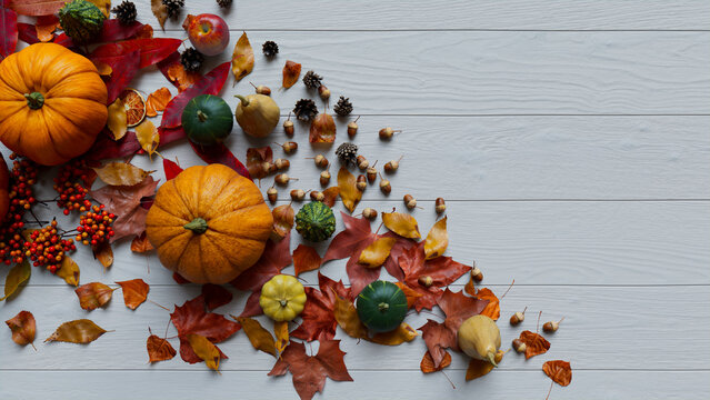 Autumn flat lay with leaves, Pumpkins and Fruits. Thanksgiving concept with copy space.