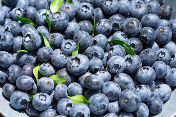 Freshly picked blueberries covered with splashes of cold water. Juicy and fresh blueberries with green leaves on a rustic table. Blueberry antioxidant. The concept of healthy food and nutrition