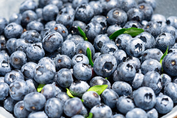 Freshly picked blueberries covered with splashes of cold water. Juicy and fresh blueberries with green leaves on a rustic table. Blueberry antioxidant. The concept of healthy food and nutrition