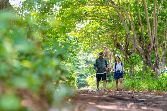 Happy Asian family couple on summer holiday vacation. Mature adult couple hiking together in forest. Man and woman enjoy outdoor lifestyle trekking and looking to green wood on travel vacation.